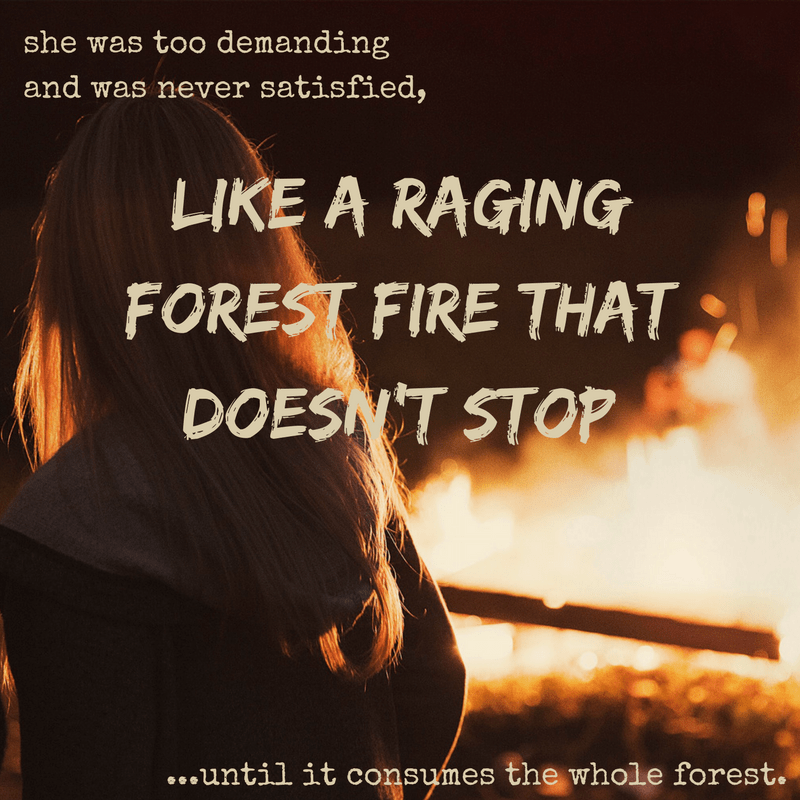 Forest Fire